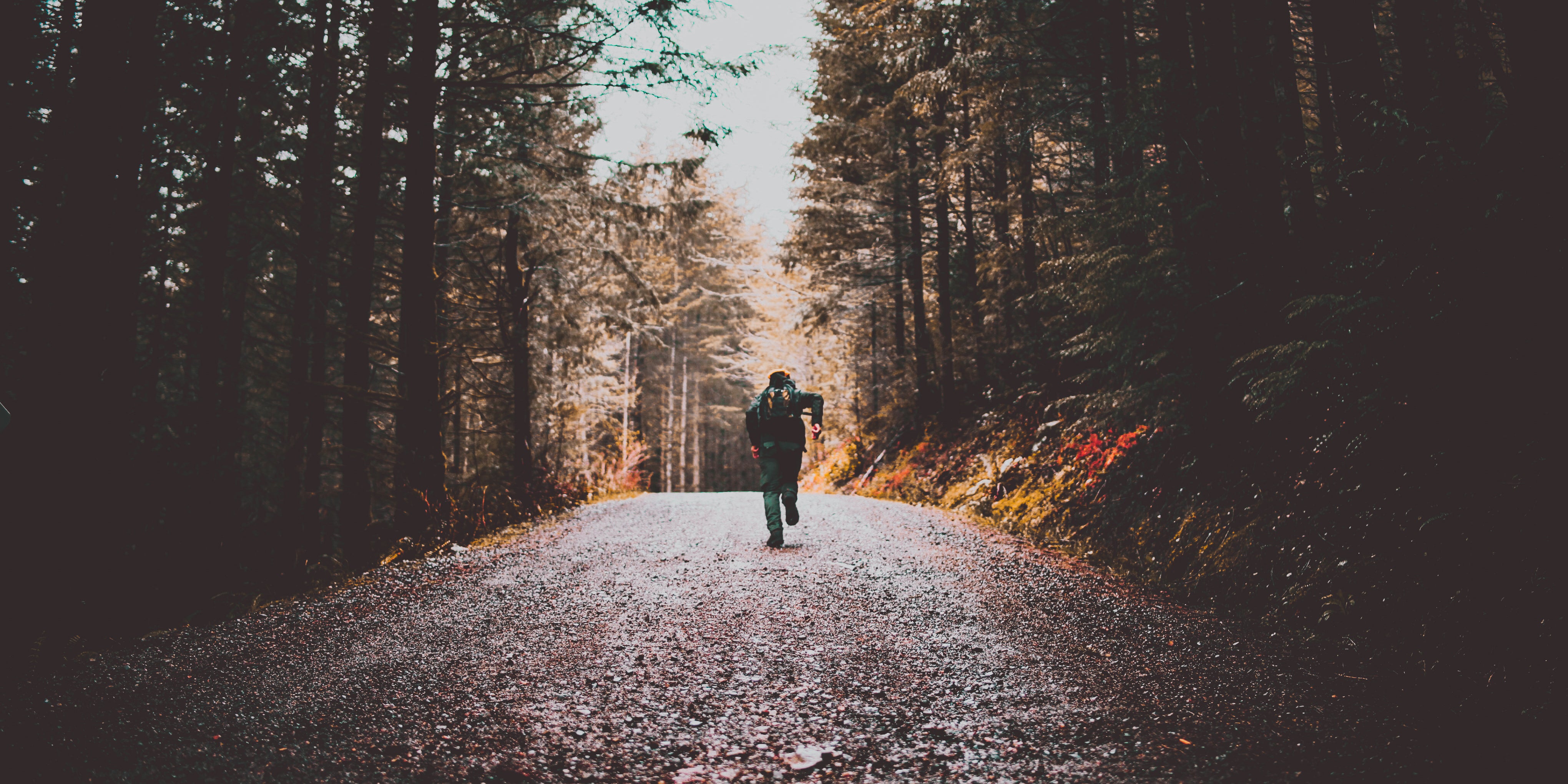 Hiker running up beaten track between the trees